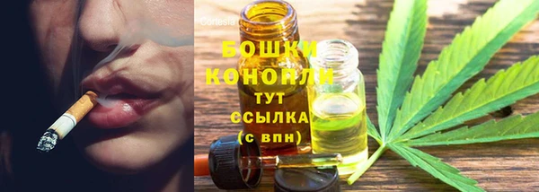 a pvp Пересвет