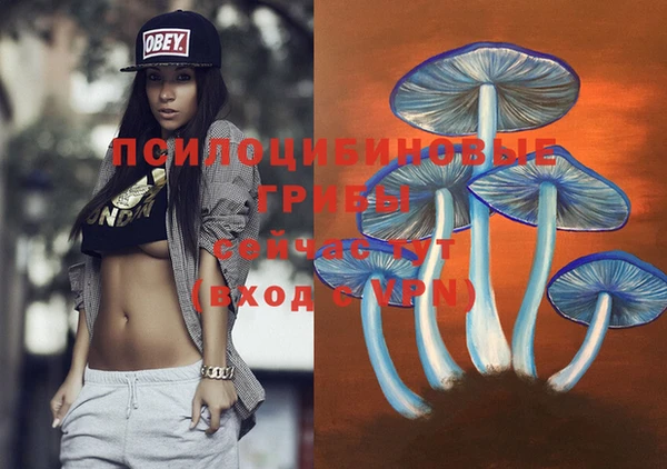 тгк Переславль-Залесский
