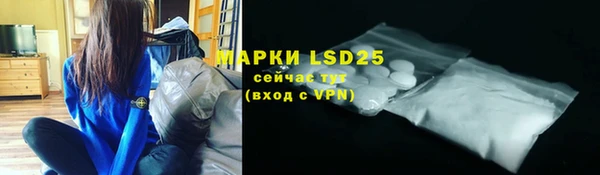 a pvp Пересвет
