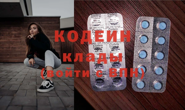 a pvp Пересвет
