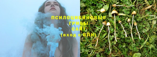кристаллы Болотное