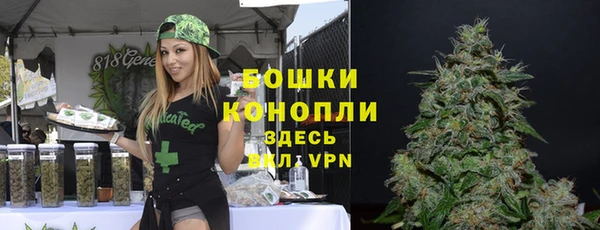 тгк Переславль-Залесский
