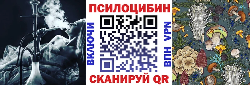 закладка Усмань блэк спрут онион Псилоцибиновые грибы Cubensis
